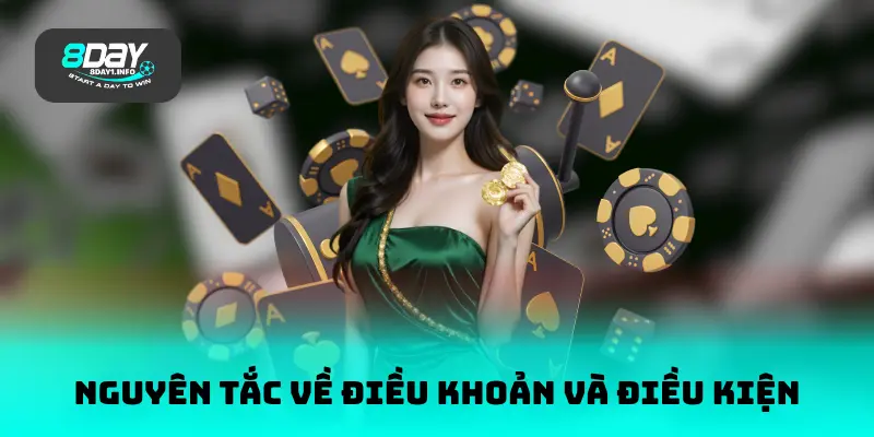 Những nguyên tắc về điều khoản và điều kiện khác