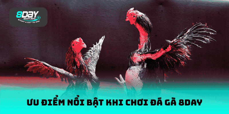 Ưu điểm nổi bật khi chơi đá gà